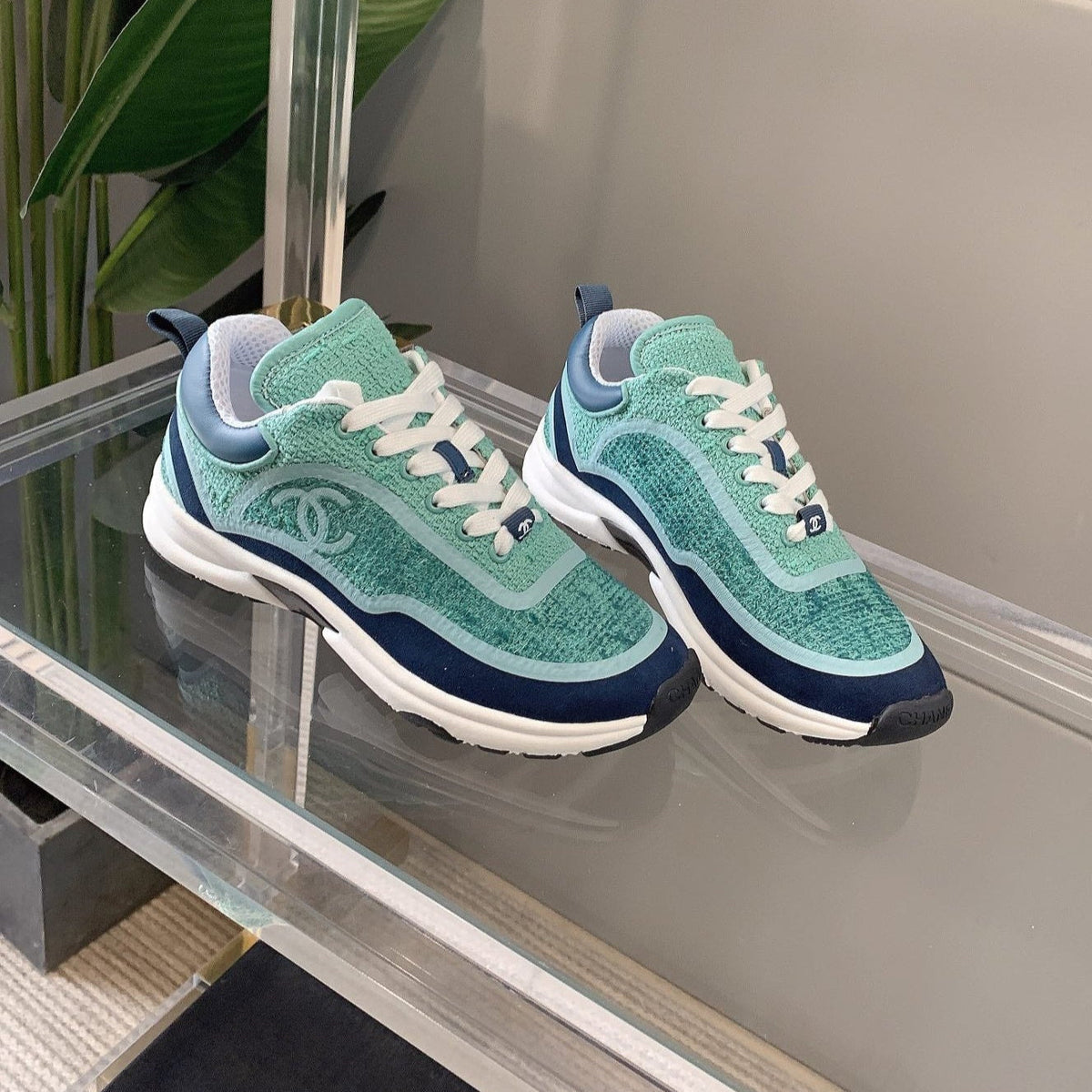 CC Sneaker In Turquoise Wool 145623