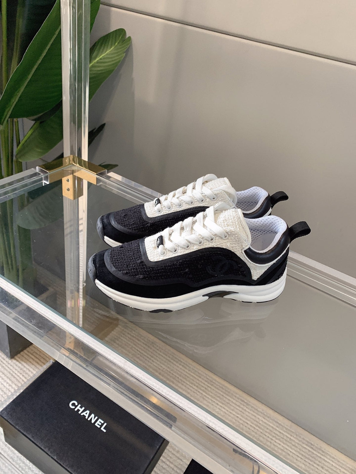 CC Sneaker In Black Wool 145622