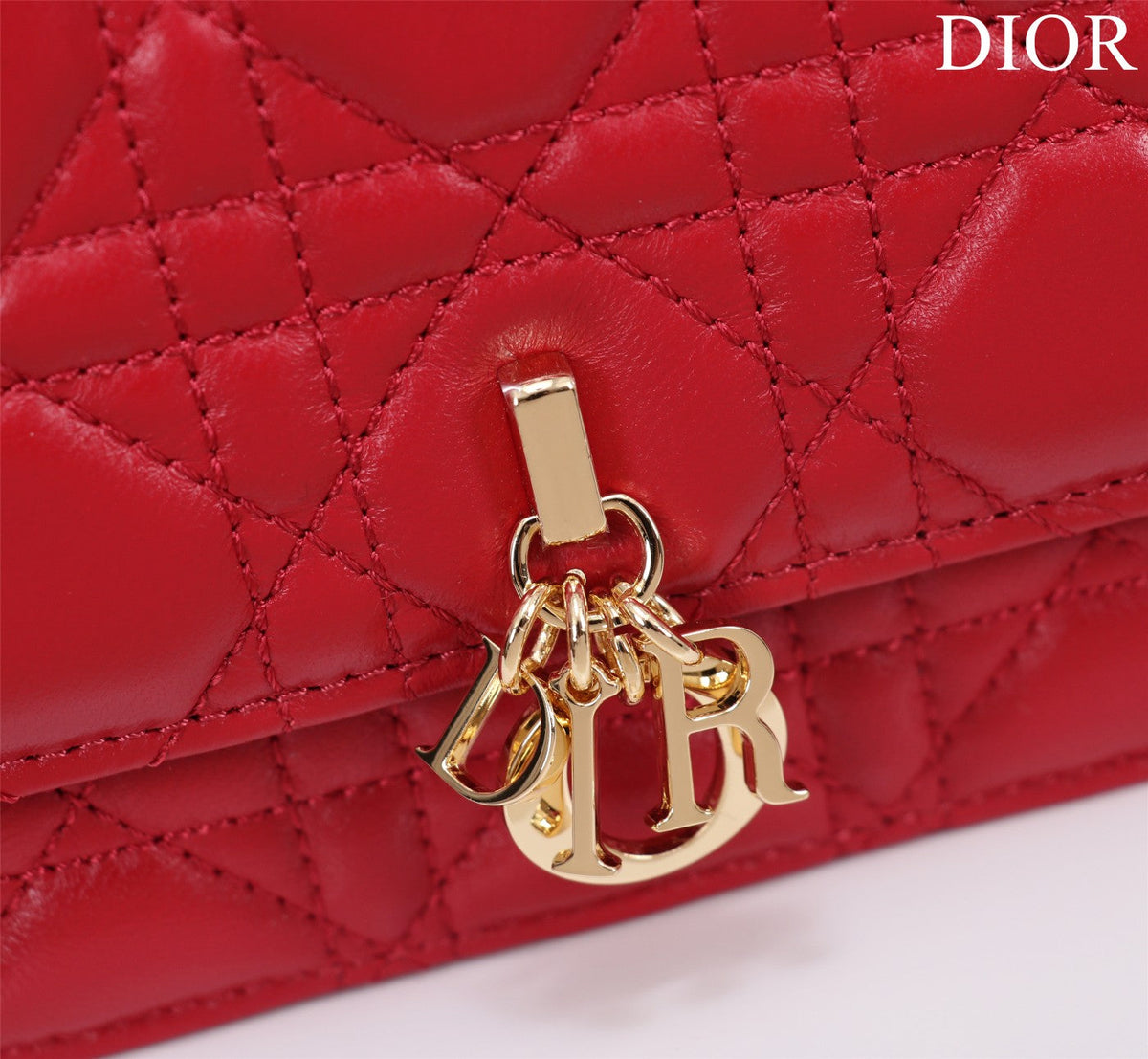 my cd mini 21 red lambskin