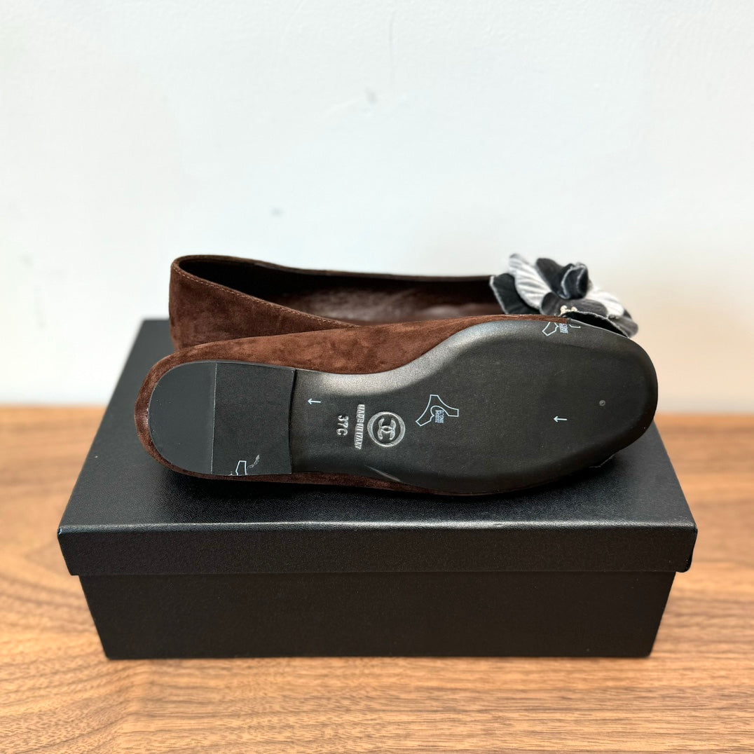 CC Ballet Flats Dark Brown With Camellia Grey Suede