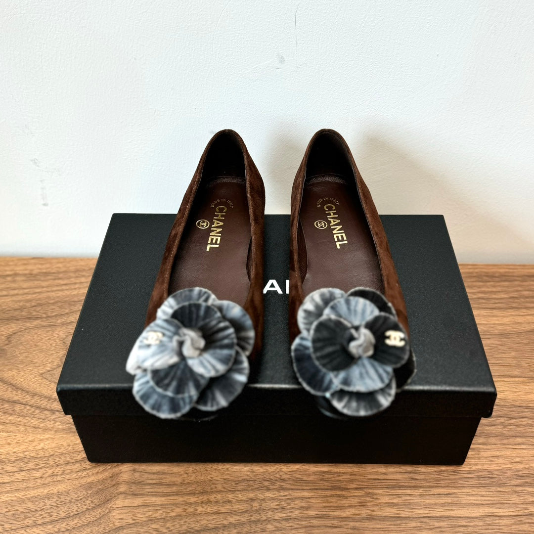 CC Ballet Flats Dark Brown With Camellia Grey Suede