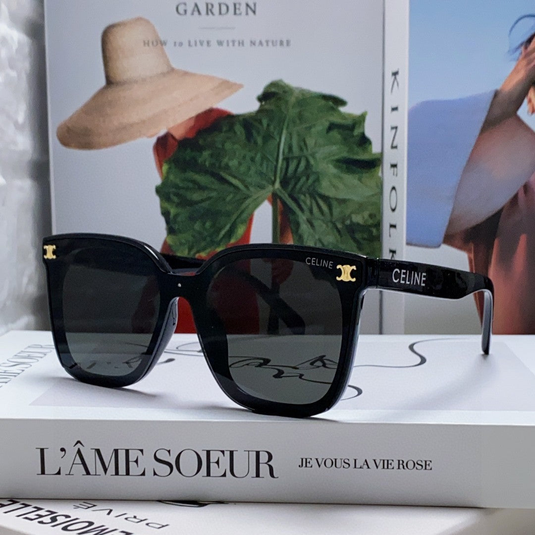 TRIOMPHE SUNGLASSES 552776 IN BLACK ACETATE TEXT LOGO