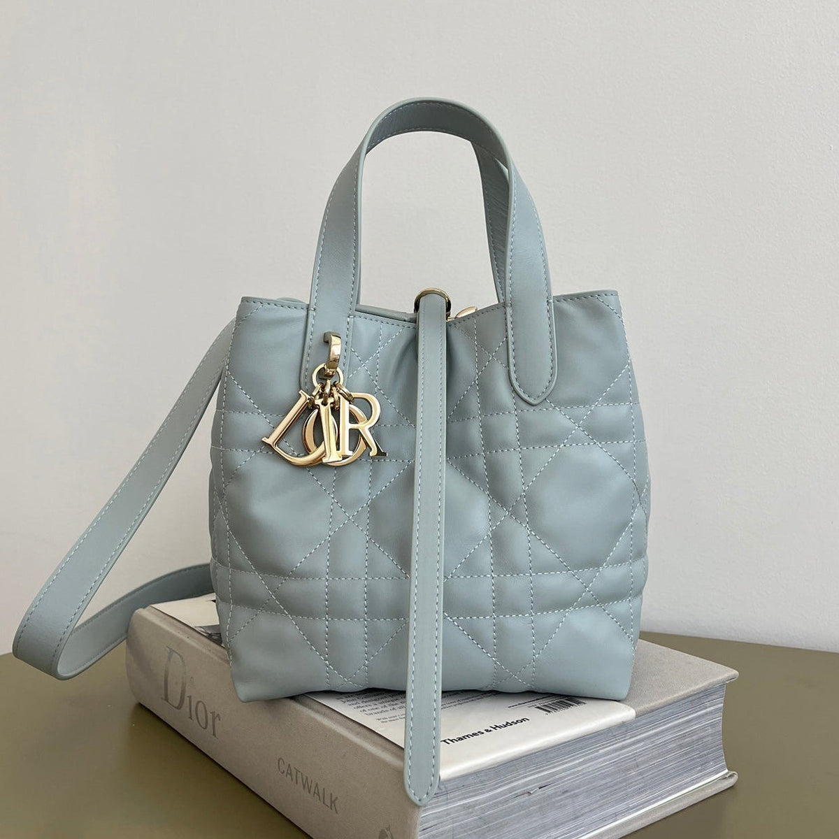 Dior 2026 Toujours Vertical Tote Bag 16cm Leather 406609